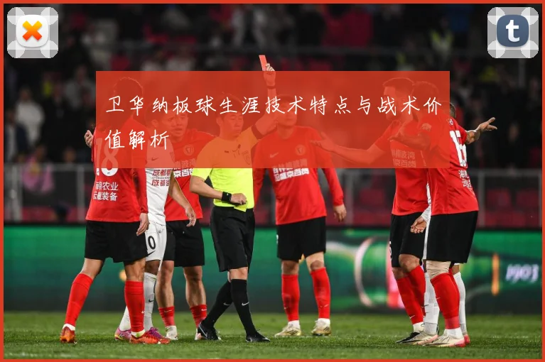 卫华纳板球生涯技术特点与战术价值解析