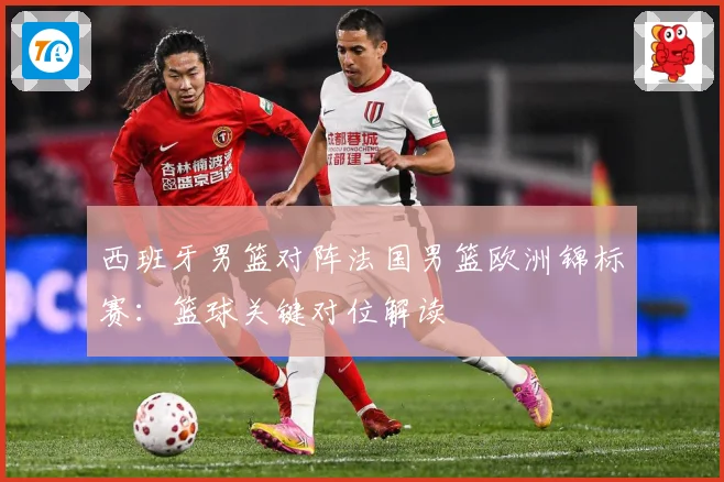 西班牙男篮对阵法国男篮欧洲锦标赛：篮球关键对位解读