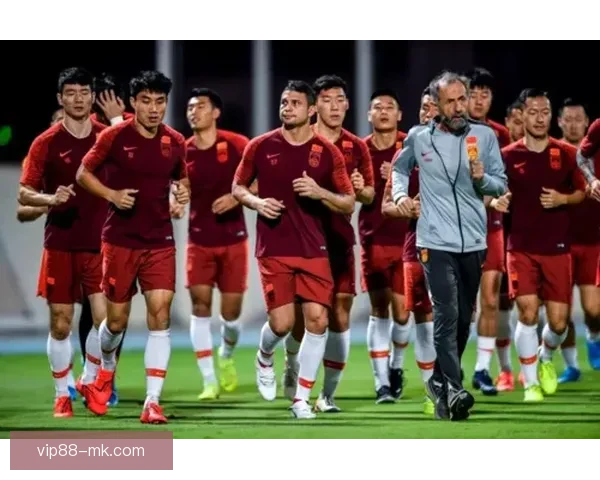 世界杯买球官网全方位解析与推荐助力球迷轻松下注体验